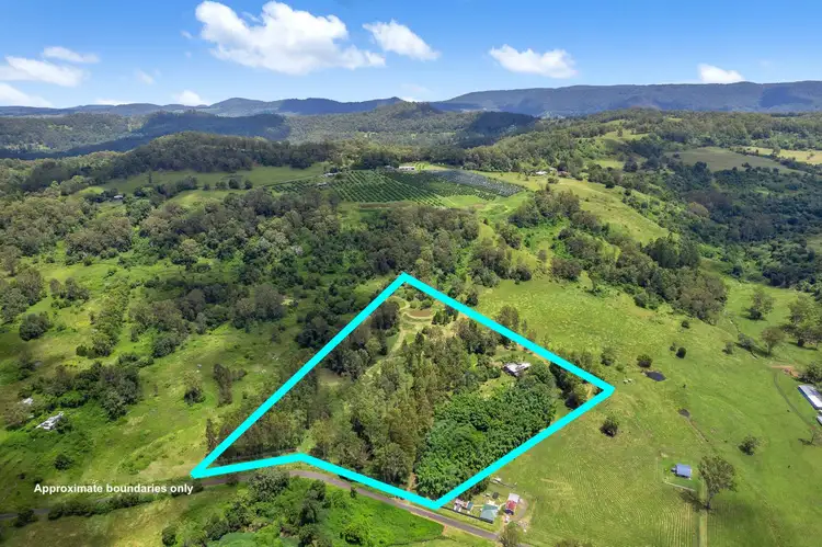 1183 Jiggi Road, Jiggi NSW 2480