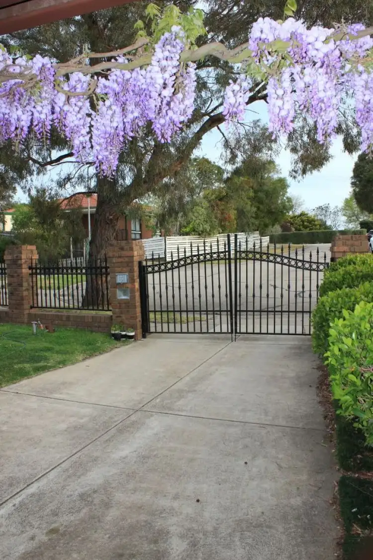 Second view of Homely house listing, 3 Allen Ct, Bairnsdale VIC 3875