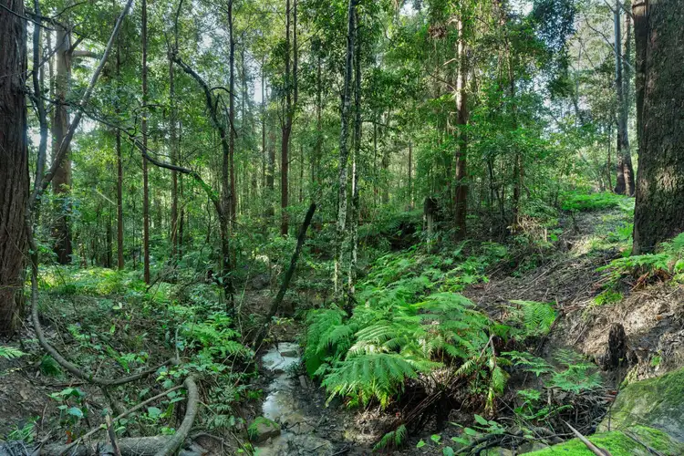 Sixth view of Homely rural property listing, 4 Selbys Road, Budgong NSW 2577