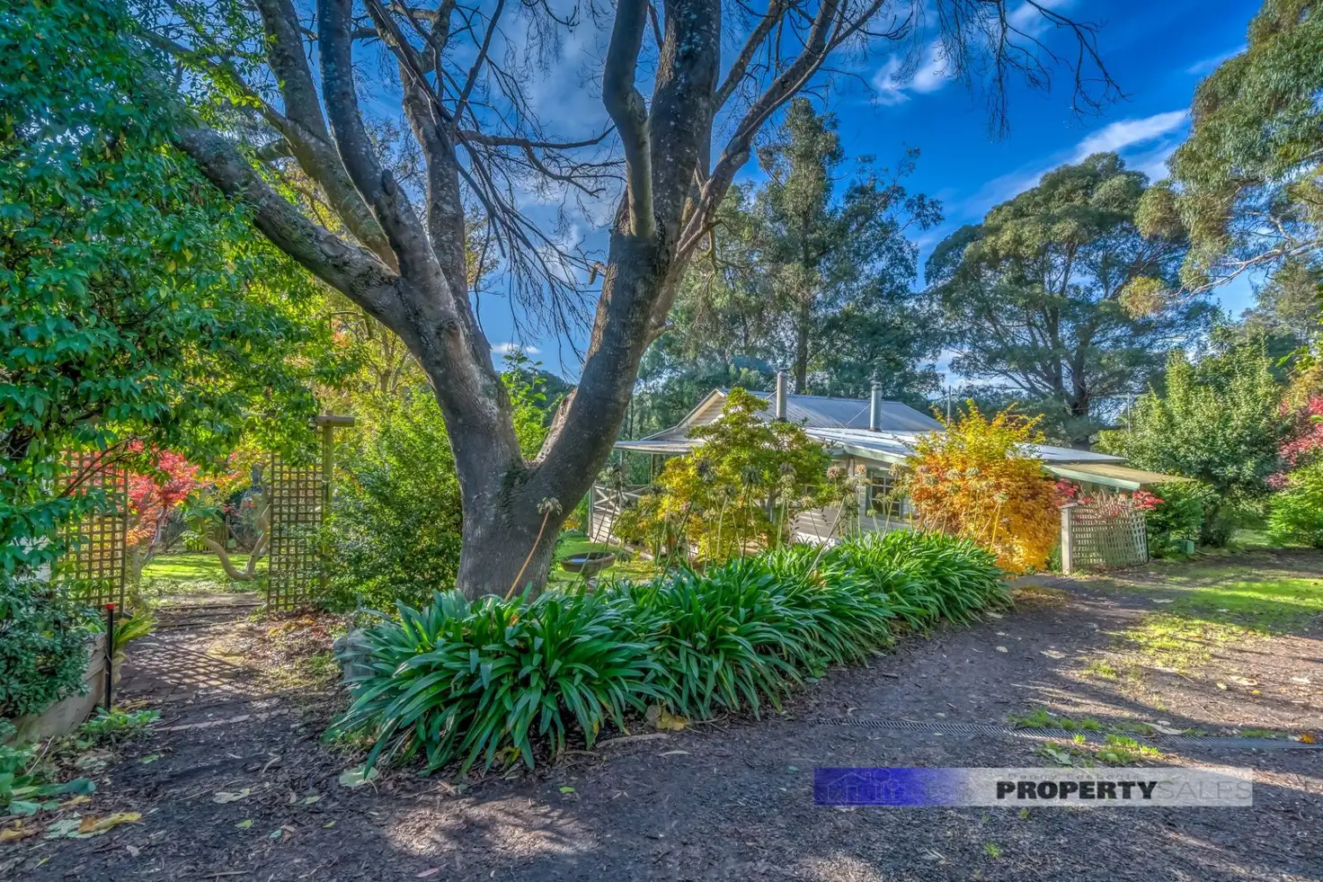 Main view of Homely house listing, 14 Thomson Valley Road, Erica VIC 3825