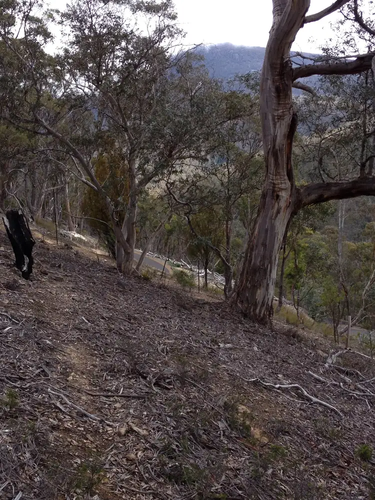Second view of Homely house listing, 2/192 Pottery Rd, Lenah Valley TAS 7008
