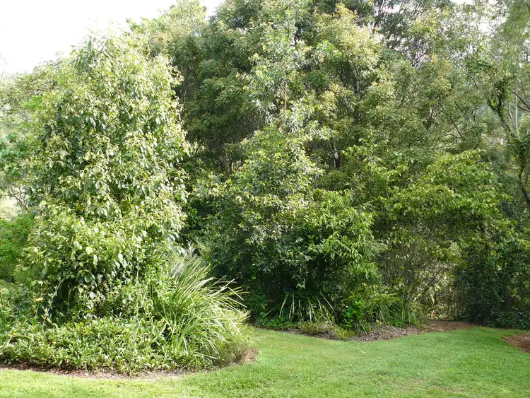 6 Parkview Ridge, Imbil QLD 4570
