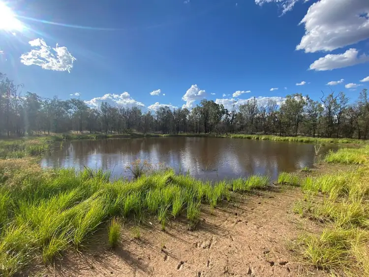 Fifth view of Homely rural property listing, Lot 45 Chinchilla Tara Road, Wieambilla QLD 4413