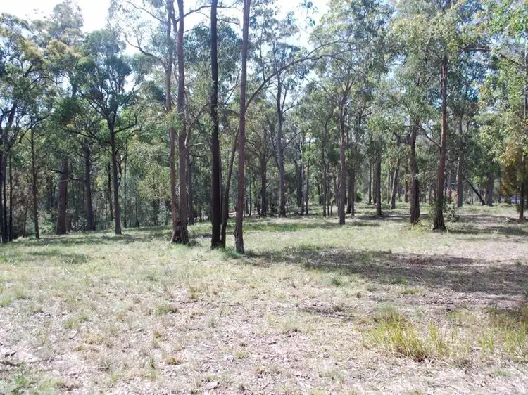 Main view of Homely land listing, Lot 241 Millingandi Ridge Road, Millingandi NSW 2549