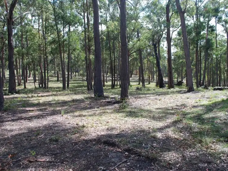 Fourth view of Homely land listing, Lot 241 Millingandi Ridge Road, Millingandi NSW 2549
