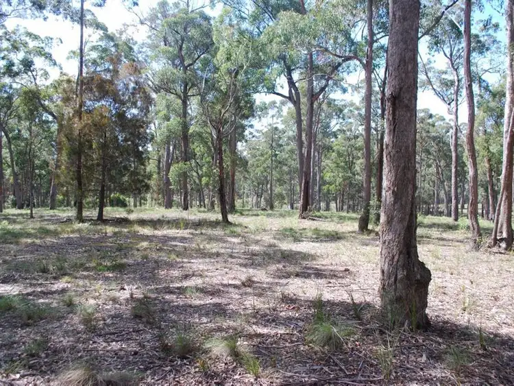 Sixth view of Homely land listing, Lot 241 Millingandi Ridge Road, Millingandi NSW 2549