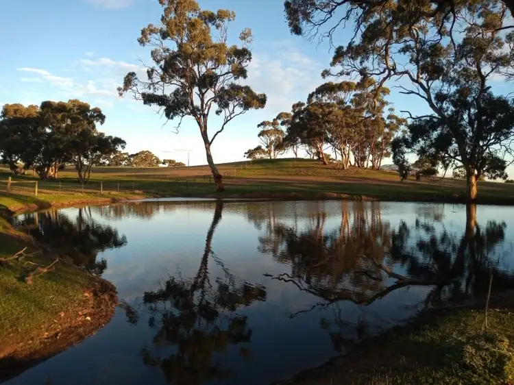 59 Burdon Road, Moppa SA 5355