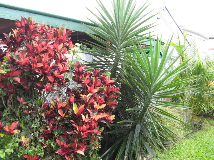 Fifth view of Homely house listing, 44 Smallman Street, Bulimba QLD 4171