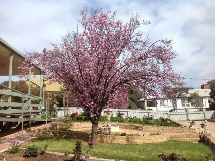 Fifth view of Homely house listing, 8 Philip Street, Streaky Bay SA 5680