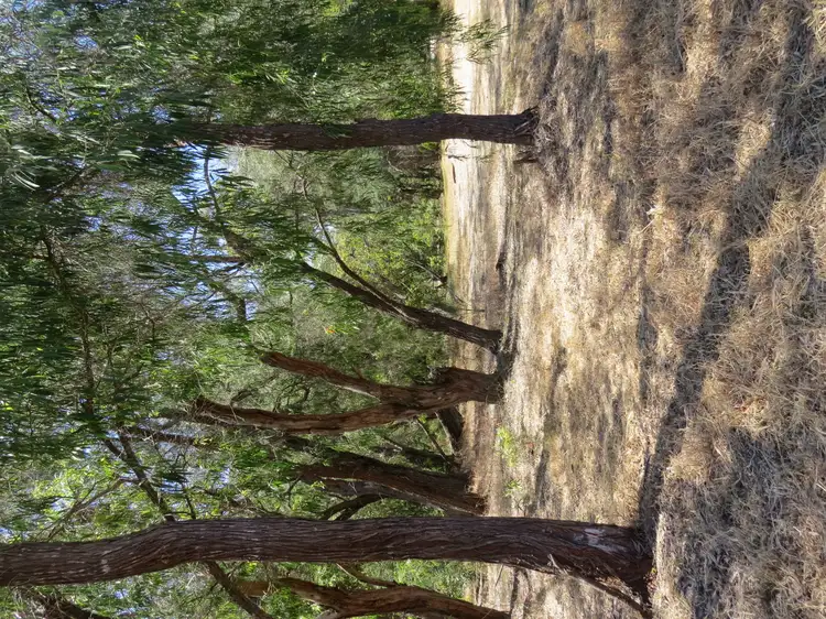 Second view of Homely land listing, Lot 407 Okapa Rise, Dunsborough WA 6281