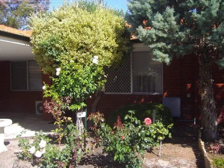 Fifth view of Homely unit listing, 3/152 Seventh Avenue, Inglewood WA 6052