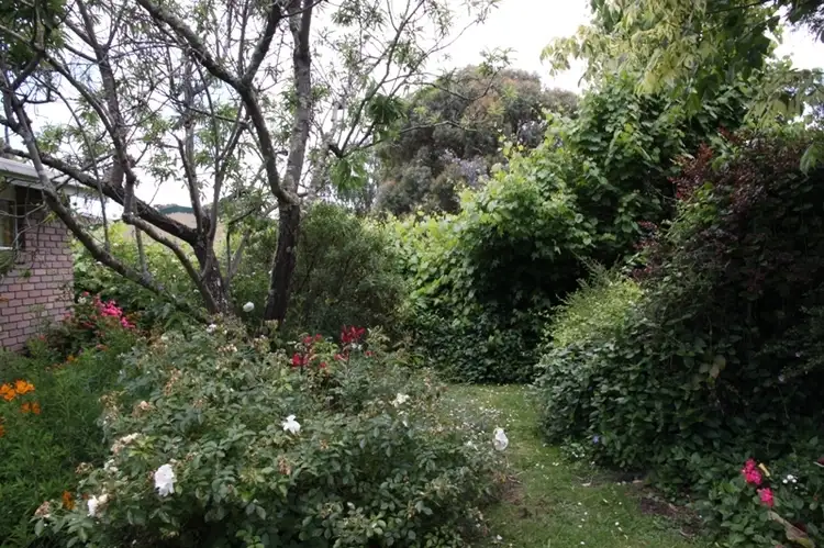 Fourth view of Homely house listing, 33 Esplanade Road, Cygnet TAS 7112
