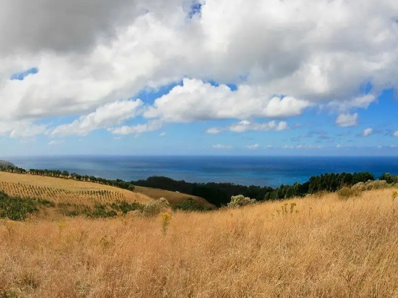 Main view of Homely land listing, 8 Beattie Lane, Wongarra VIC 3221