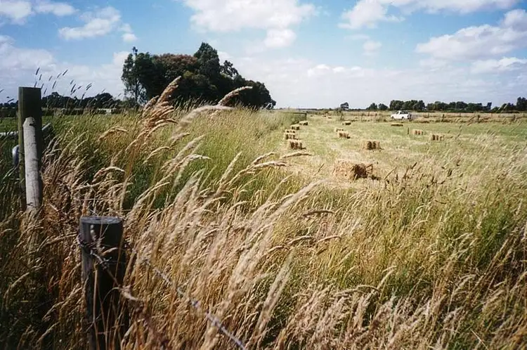 Fourth view of Homely house listing, 21 Beal Street, Birregurra VIC 3242