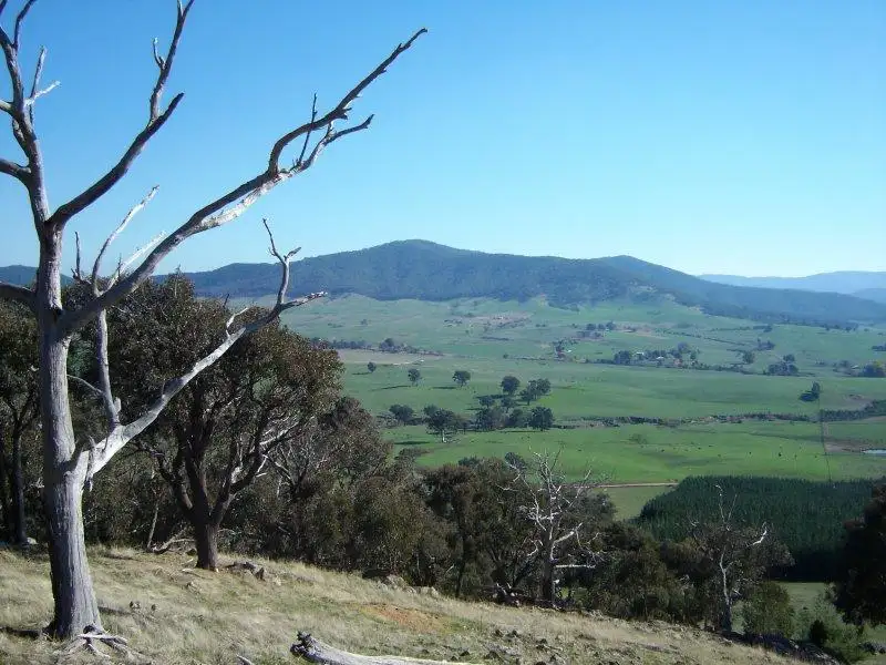 Main view of Homely rural property listing, Switchback Road, Mudgegonga VIC 3737