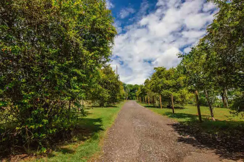 Main view of Homely rural property listing, 75 Wendt Road, Chambers Flat QLD 4133