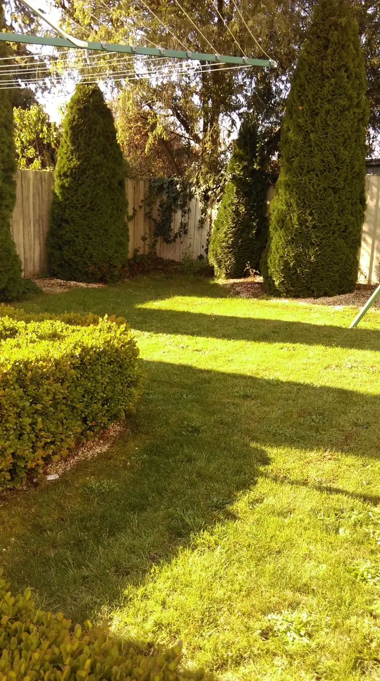 Sixth view of Homely house listing, 5 Walton Street, West Launceston TAS 7250