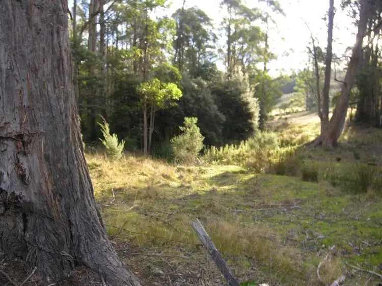 Fifth view of Homely land listing, Lot 1 Halls Track Road, Pelverata TAS 7150