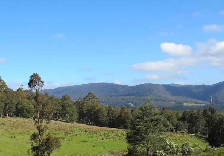 Third view of Homely land listing, Halls Track Road, Pelverata TAS 7150