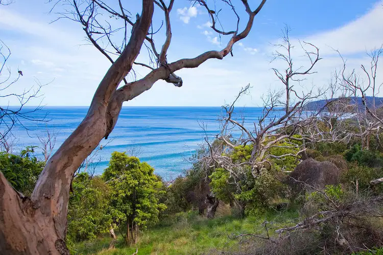 Second view of Homely land listing, 63 Morley Avenue, Wye River VIC 3221
