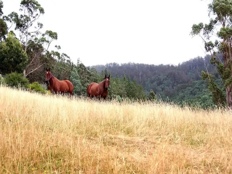 Fifth view of Homely house listing, 30 Steeles Road, Nicholls Rivulet TAS 7112