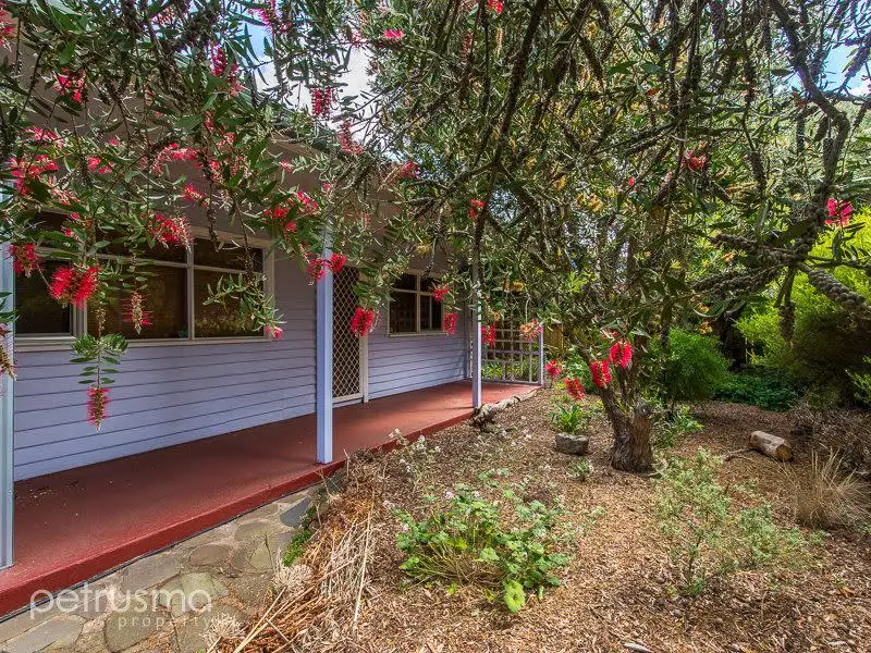 Main view of Homely house listing, 501 Back River Road, Magra TAS 7140
