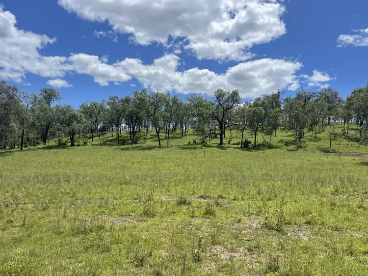 Fourth view of Homely rural property listing, 37 Pine Mountain Creek Road, Monto QLD 4630