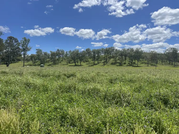 Fifth view of Homely rural property listing, 37 Pine Mountain Creek Road, Monto QLD 4630