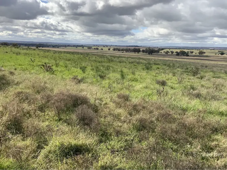 Second view of Homely rural property listing, 77R Truelay Block 3 Westella Rd, Wongarbon NSW 2831