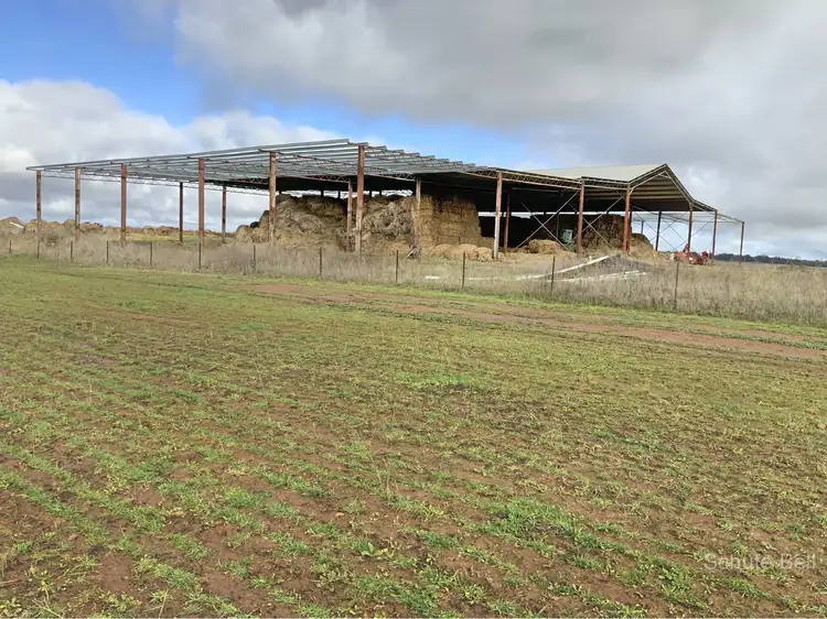 Sixth view of Homely rural property listing, 77R Truelay Westella Rd, Wongarbon NSW 2831