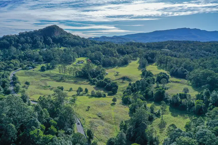 Second view of Homely rural property listing, 574 Blue Knob Rd, Blue Knob NSW 2480