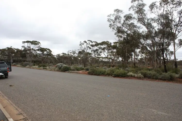 Fifth view of Homely land listing, 23 Callitris Rd, Kambalda West WA 6442
