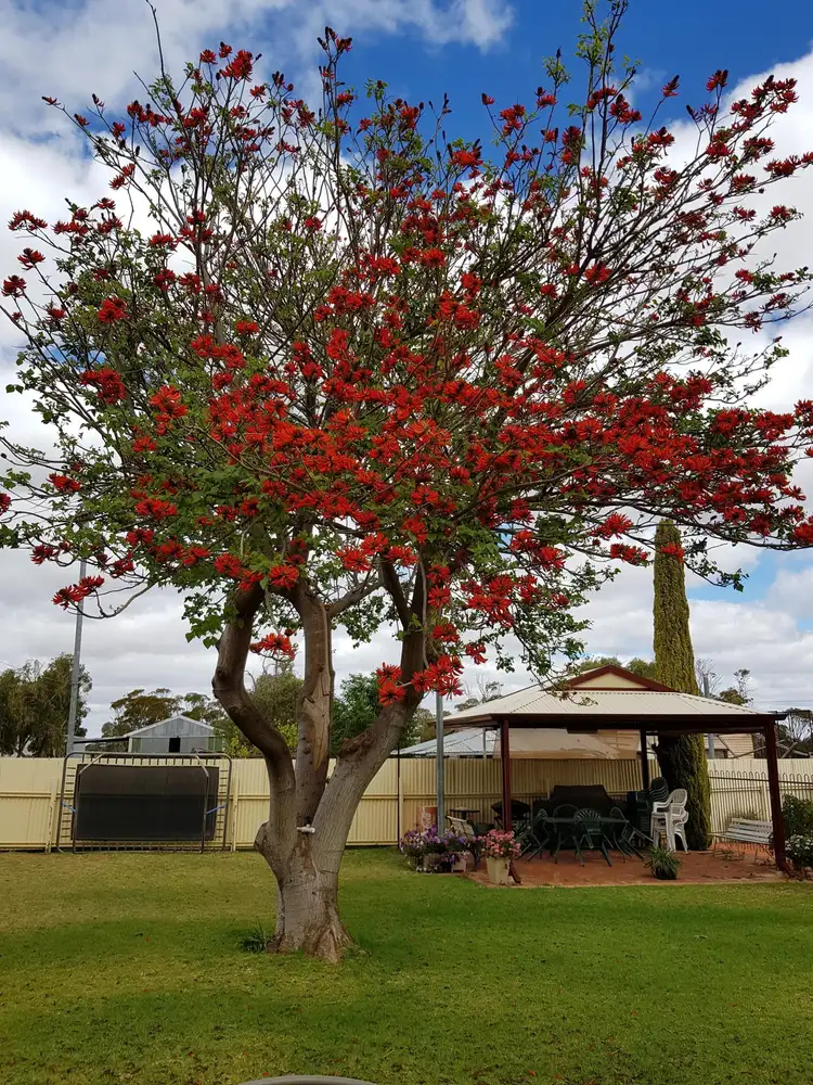 Sixth view of Homely rural property listing, 34808 Great Eastern Highway, Southern Cross WA 6426