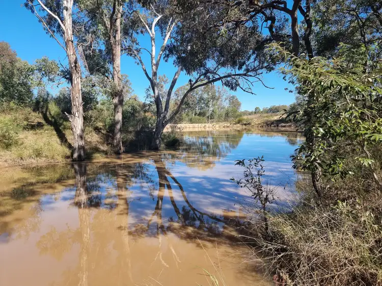 Fifth view of Homely rural property listing, 413 Shellytop Road, Durong QLD 4610