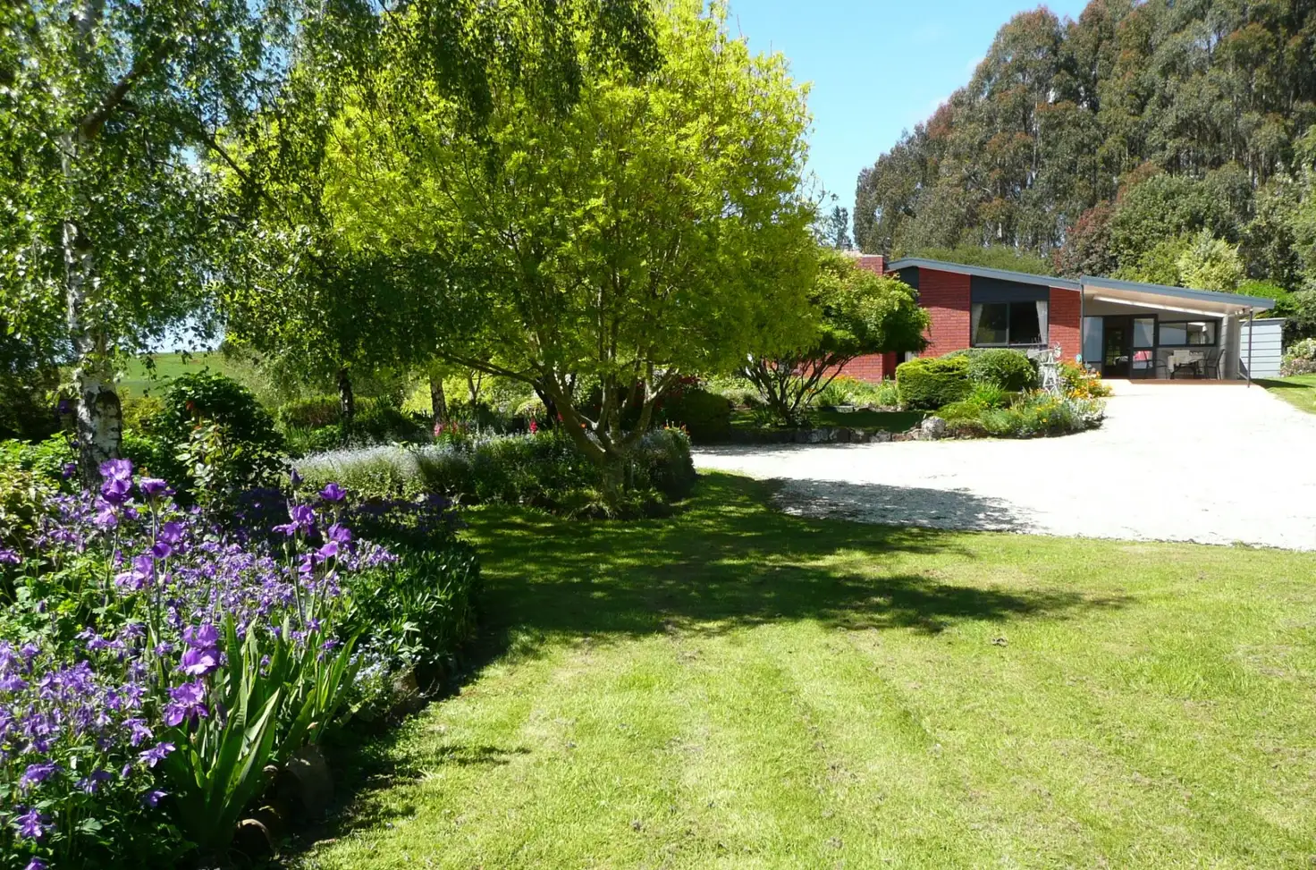 Main view of Homely rural property listing, 311 Johnsons Road, Yolla TAS 7325