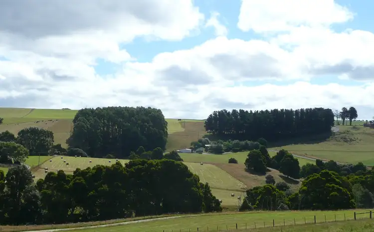 Third view of Homely rural property listing, 311 Johnsons Road, Yolla TAS 7325