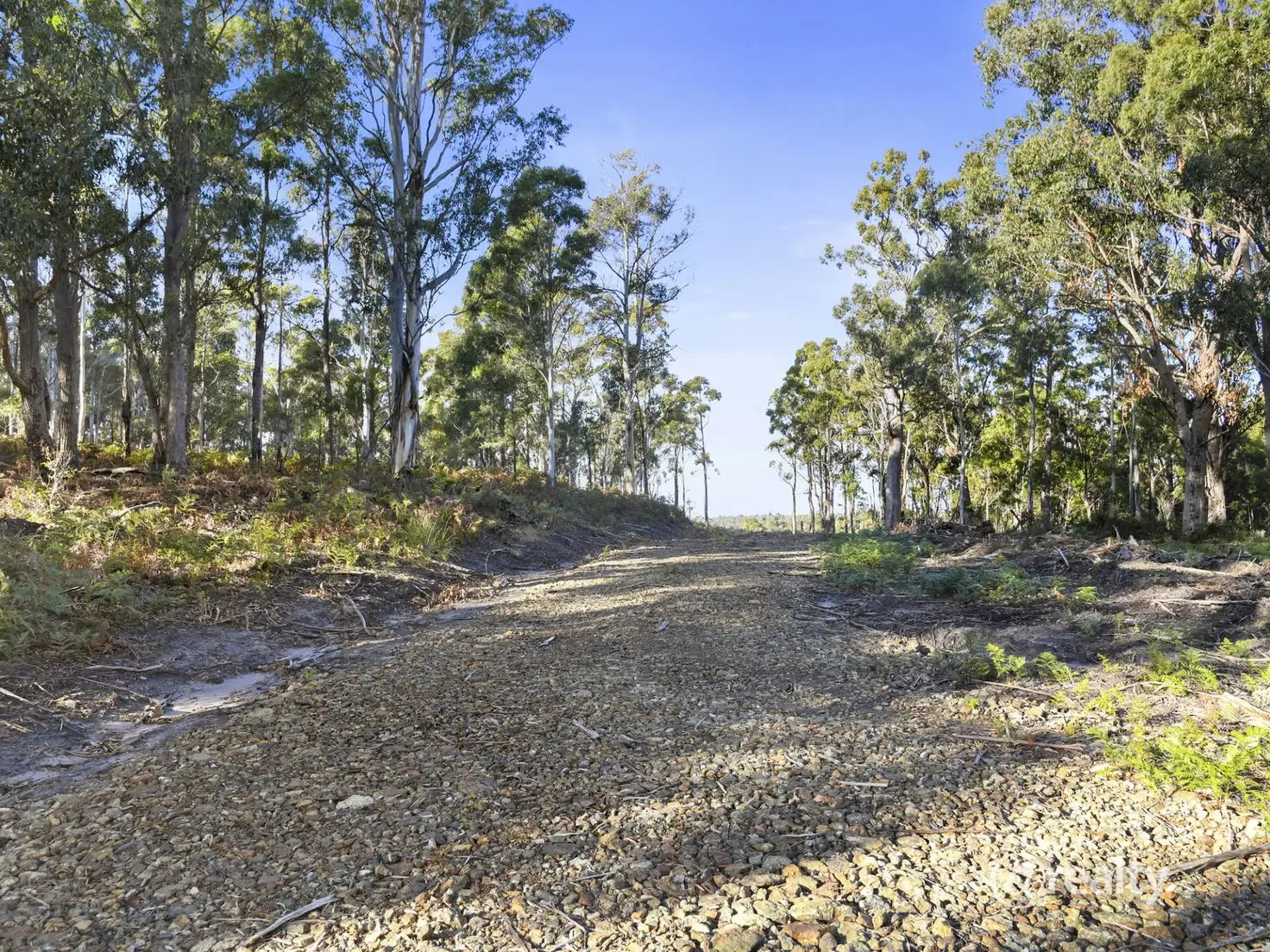 Main view of Homely land listing, Lot Levendale Back Road, Levendale TAS 7120