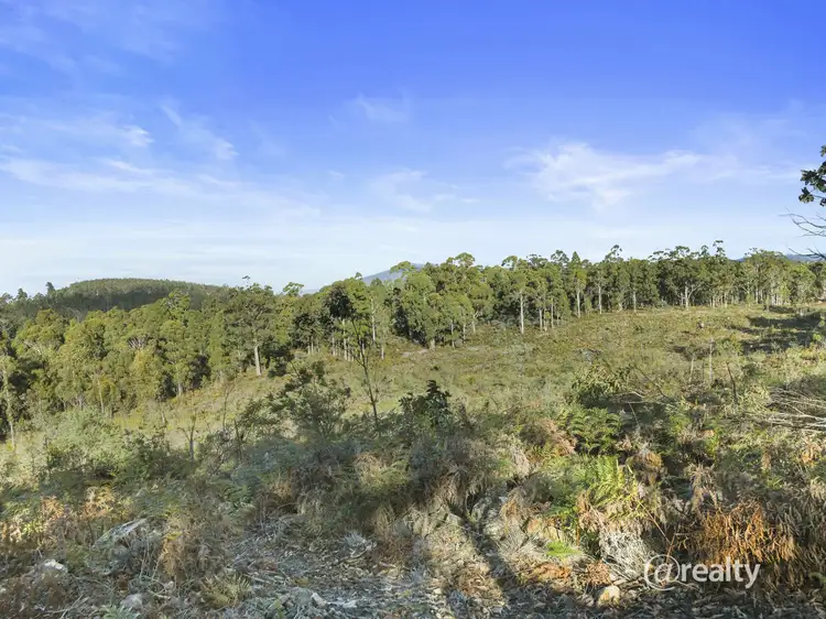 Second view of Homely land listing, Lot Levendale Back Road, Levendale TAS 7120