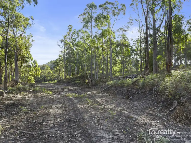 Third view of Homely land listing, Lot Levendale Back Road, Levendale TAS 7120
