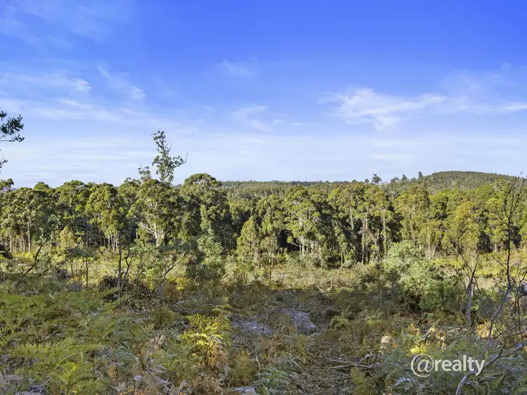 Fourth view of Homely land listing, Lot Levendale Back Road, Levendale TAS 7120