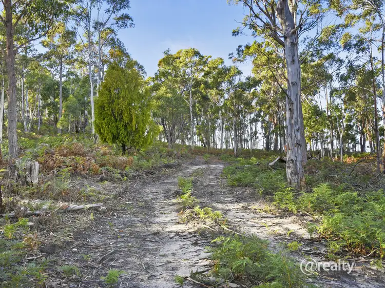 Fifth view of Homely land listing, Lot Levendale Back Road, Levendale TAS 7120