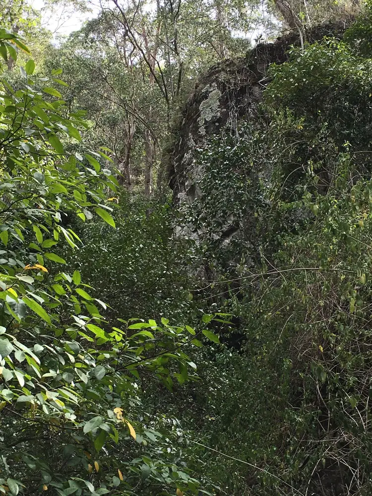 Fourth view of Homely land listing, 193 Palmtree Road, Buaraba South QLD 4311