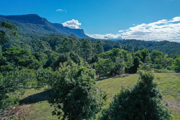 Second view of Homely rural property listing, 76 Coalmine Road, Mount Burrell NSW 2484