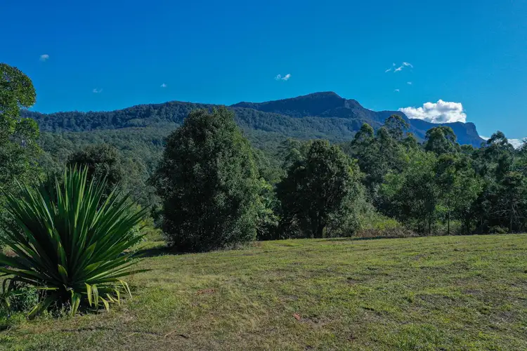 Third view of Homely rural property listing, 76 Coalmine Road, Mount Burrell NSW 2484