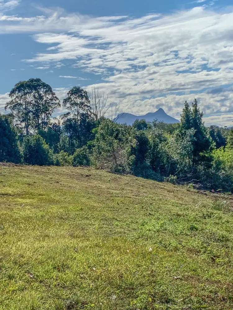 Fifth view of Homely rural property listing, 76 Coalmine Road, Mount Burrell NSW 2484