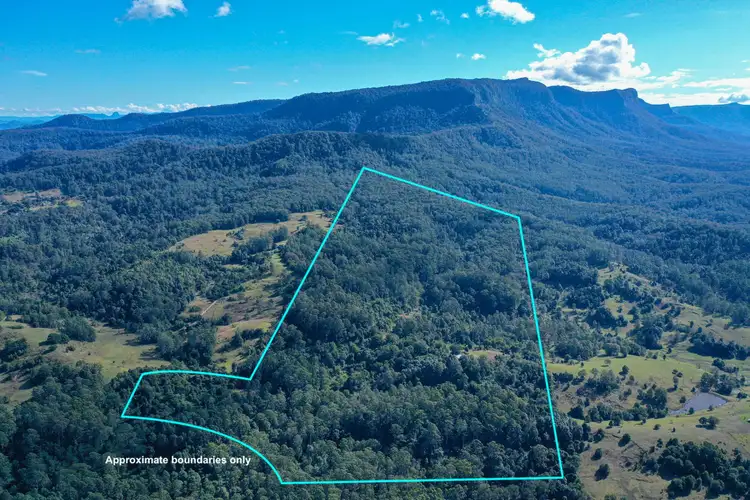 Seventh view of Homely rural property listing, 76 Coalmine Road, Mount Burrell NSW 2484