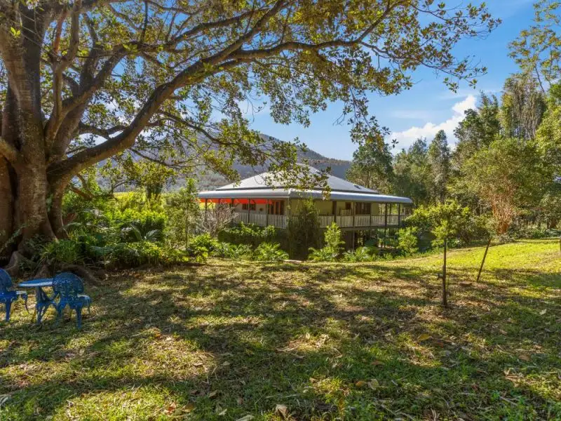 Main view of Homely rural property listing, 293 Tyalgum Creek Road, Tyalgum Creek NSW 2484