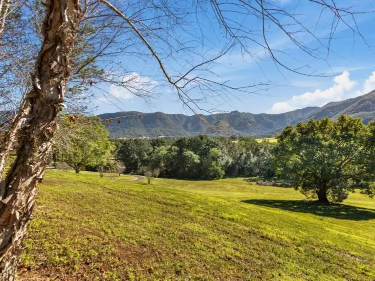 Third view of Homely rural property listing, 293 Tyalgum Creek Road, Tyalgum Creek NSW 2484