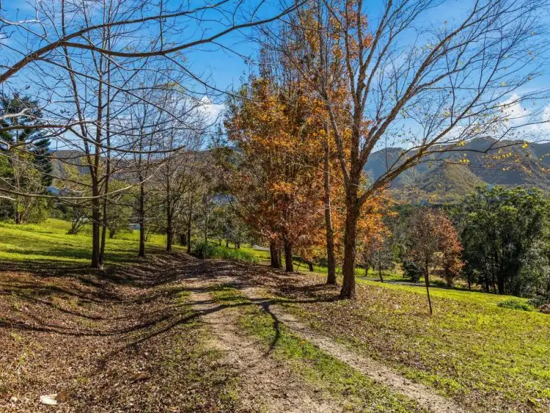 Main view of Homely land listing, 303 Tyalgum Creek Road, Tyalgum Creek NSW 2484