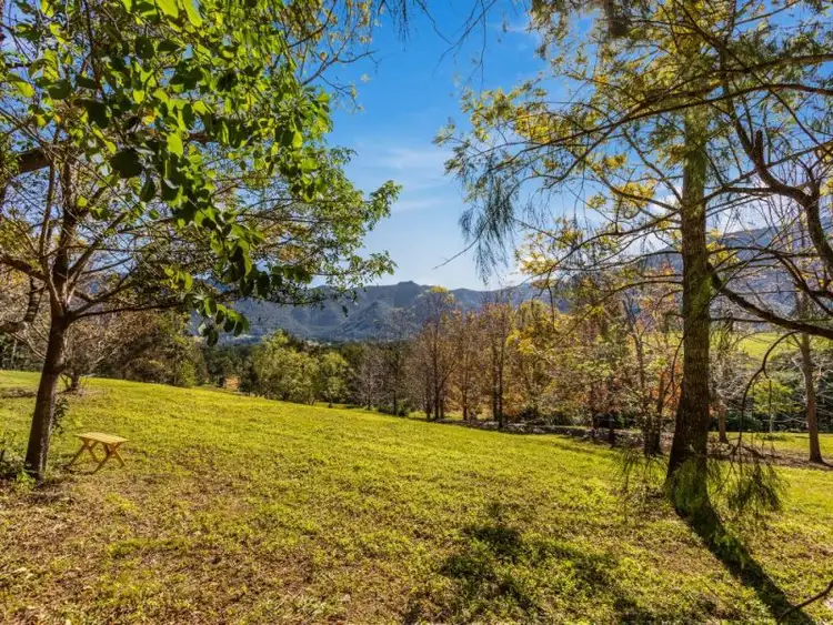 Third view of Homely land listing, 303 Tyalgum Creek Road, Tyalgum Creek NSW 2484